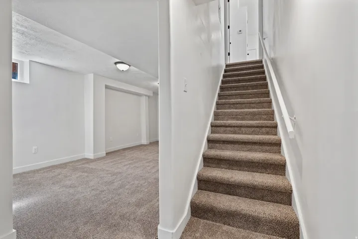 Carpeted stairs with a white handrail, leading to a carpeted room with white walls and a ceiling-mounted light fixture