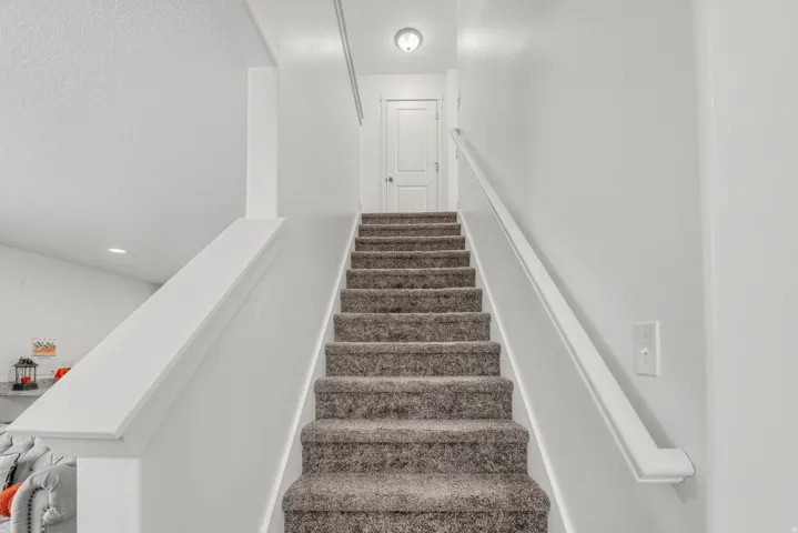 Carpeted staircase with white handrails and a built-in overhead light fixture