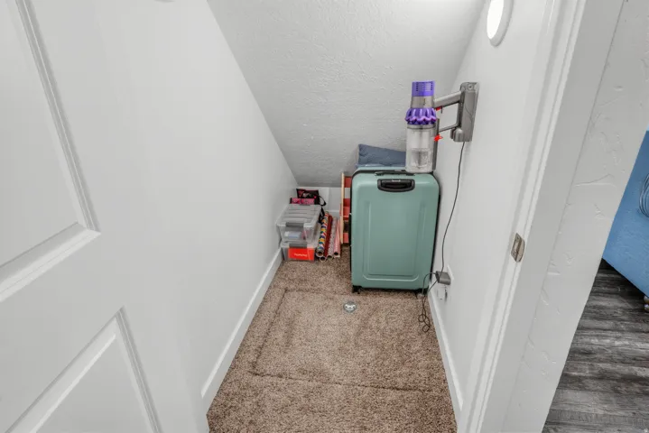 Carpeted under-stair storage area with white walls and a built-in circular light fixture