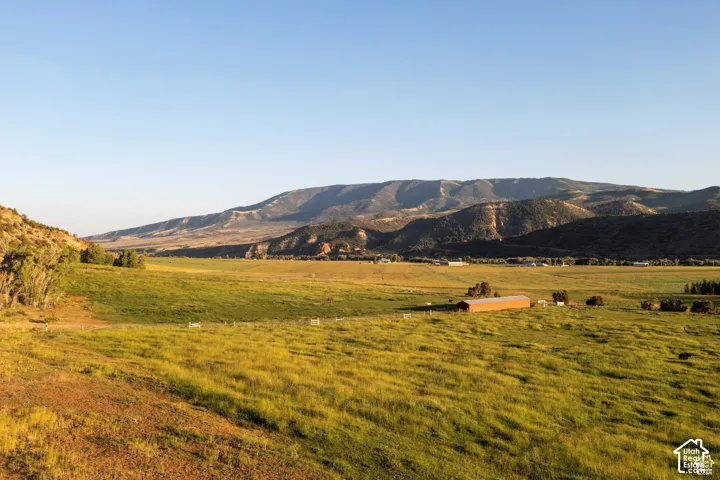 Expansive grass field with a distant mountain range backdrop