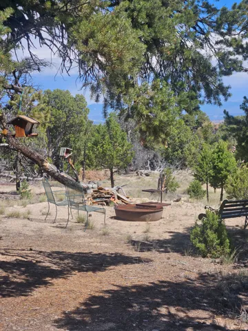 Outdoor fire pit area with natural landscaping and mature trees