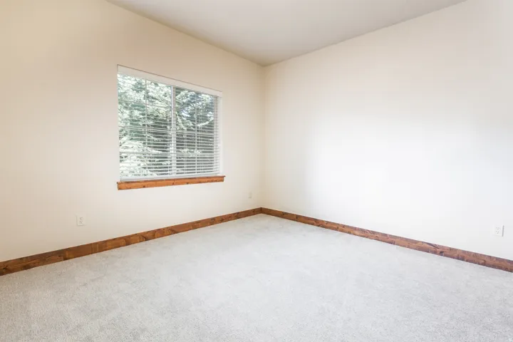 Carpeted flooring, white walls, and a window with wood trim