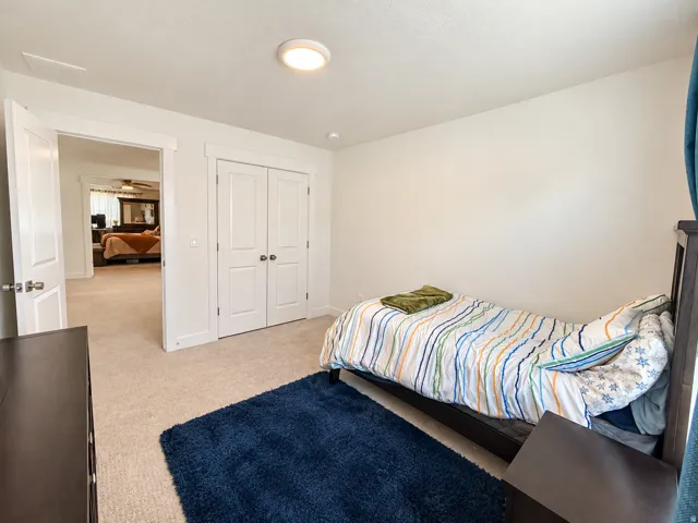 Carpeted flooring, white walls, double-door closet, flush-mount ceiling light