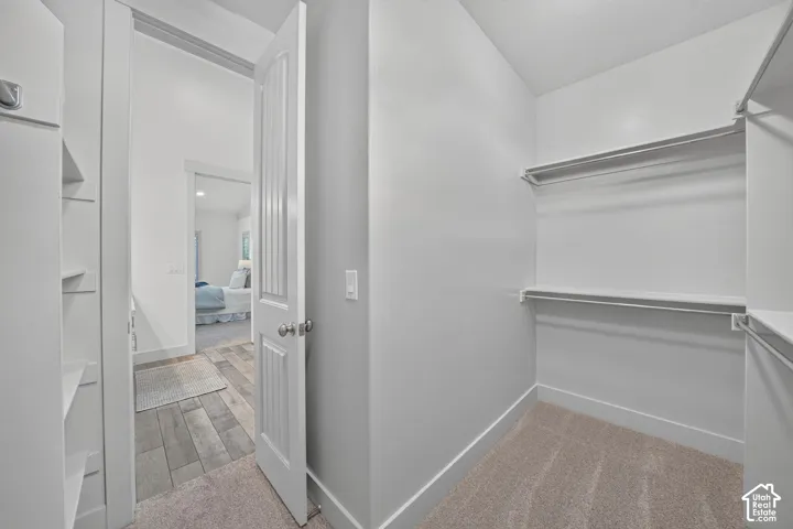 Expansive closet featuring built-in shelving, hanging rods, and neutral carpeting