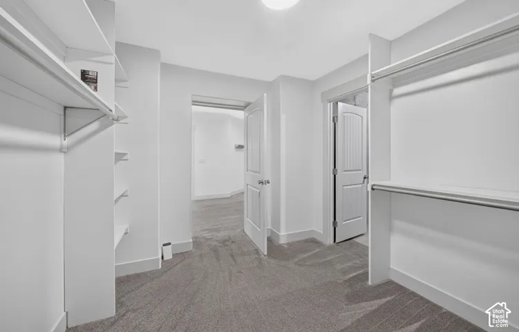 Neutral gray carpet flooring