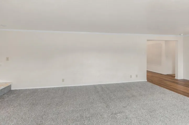 Light gray carpeting, light-colored walls, white crown molding, and wood-finish flooring in an adjacent room