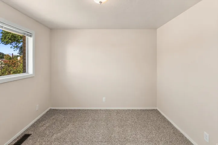 Neutral wall paint with textured carpeting and a single window