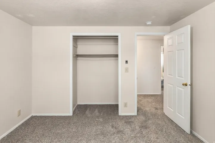 Textured carpeting, neutral wall finishes, open closet with hanging rods, and a paneled interior door