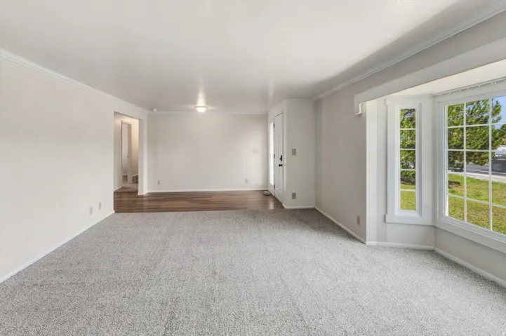 Light gray carpeted flooring, white walls, and a bay window with grid-patterned panes