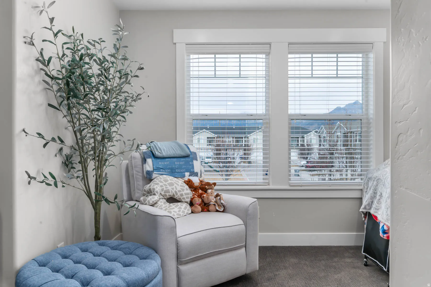 Dual windows with horizontal blinds and mountain scenery