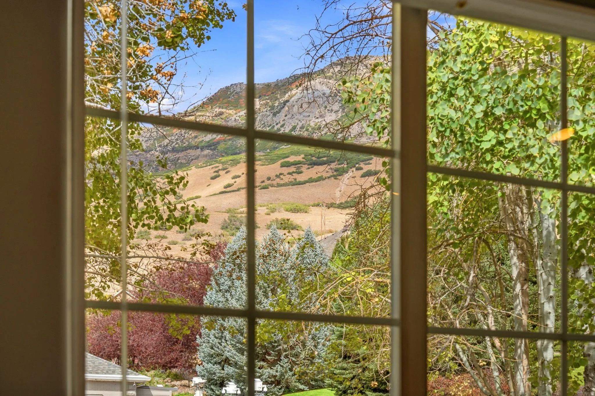 Views out of your front living room off the entry