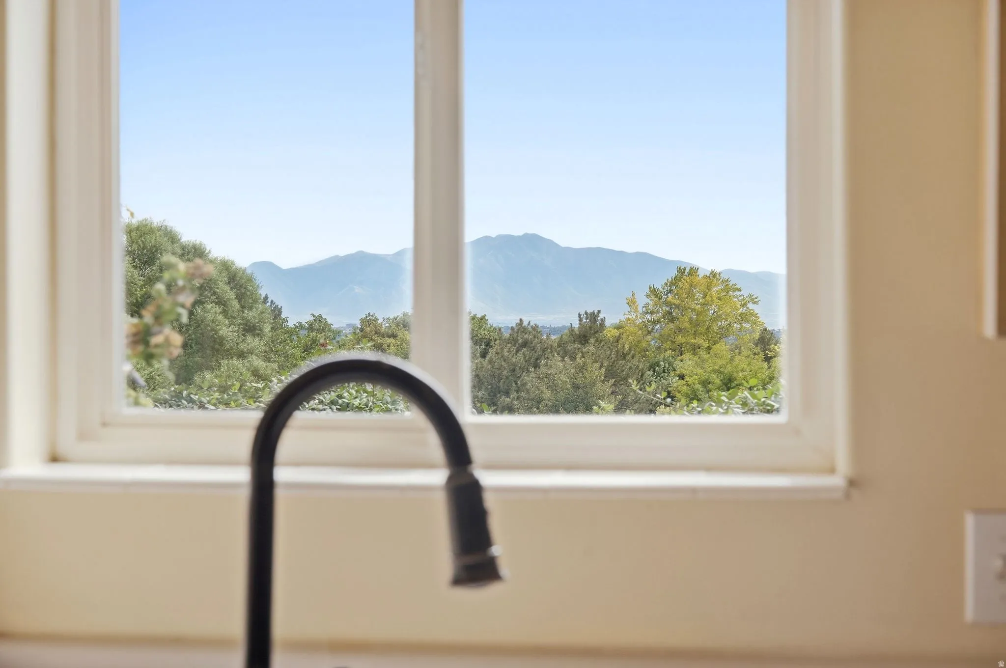 View out of your kitchen window, looking out over the sink