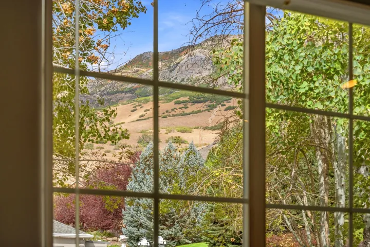 Views out of your front living room off the entry