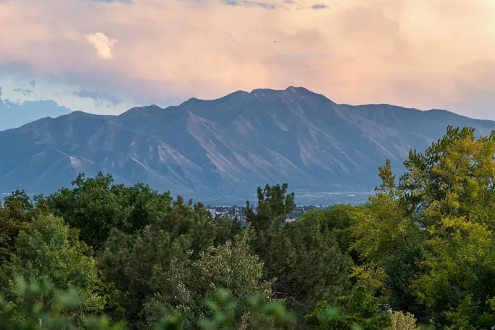 958 E 1150 N, Pleasant Grove, Utah 84062