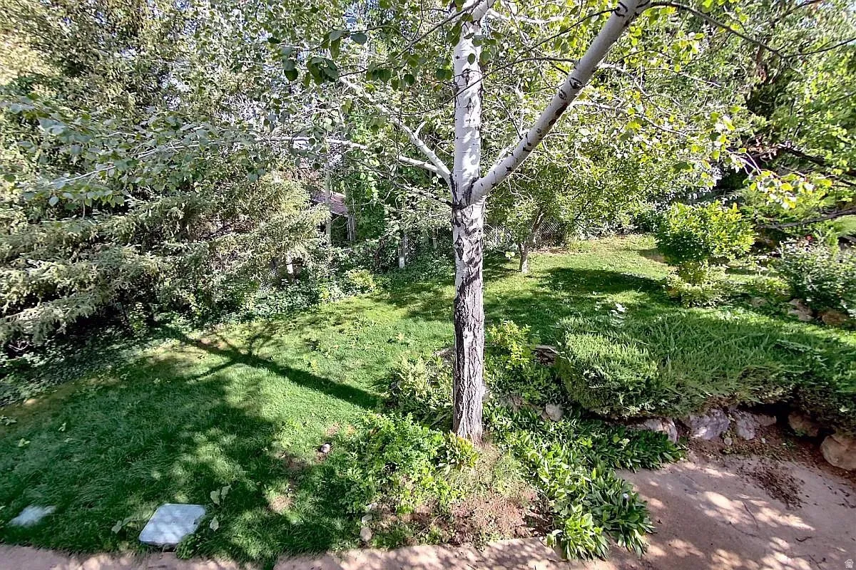 Manicured lawn with mature trees and diverse landscaping