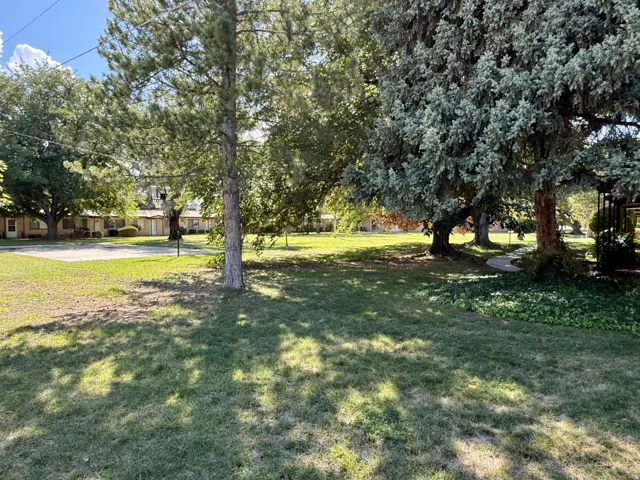 Community open space.  Expansive lawn area featuring mature trees and a paved path