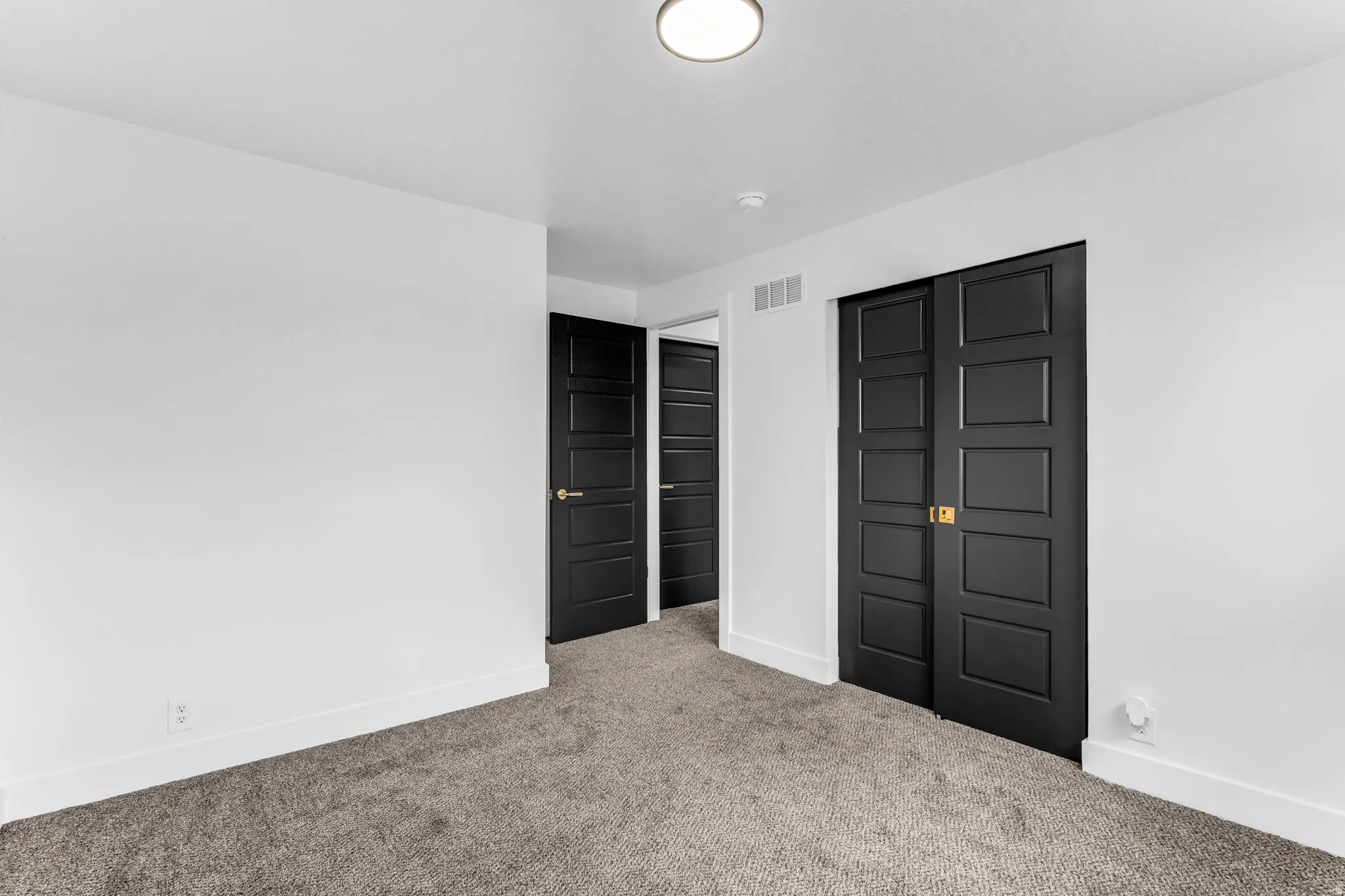 White walls, gray carpet flooring, black paneled doors, and a flush mount ceiling light