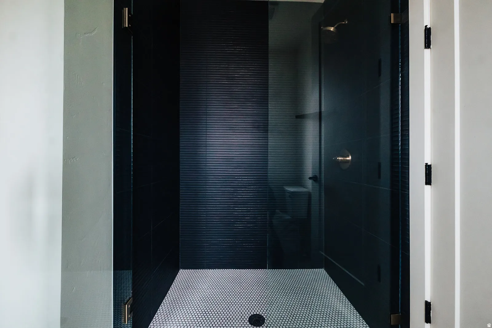 Walk-in shower with textured dark tile walls, clear glass enclosure, and penny tile flooring