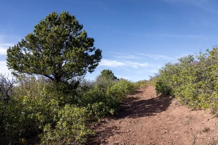 7273 S Loop Rd, Moab, Utah 84532