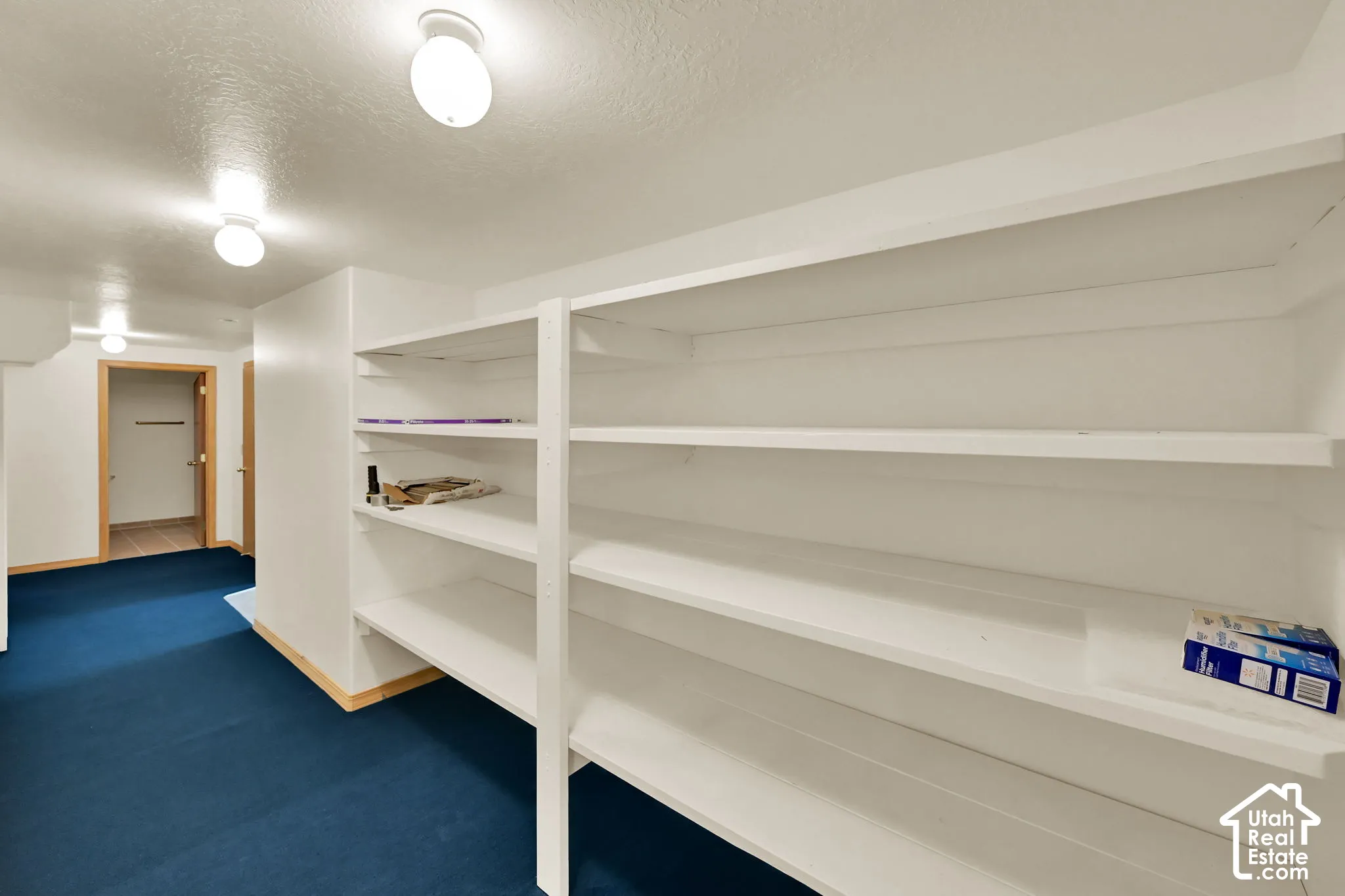 Built-in shelving with multiple storage levels, flush-mount ceiling lighting, and wall-to-wall carpeting