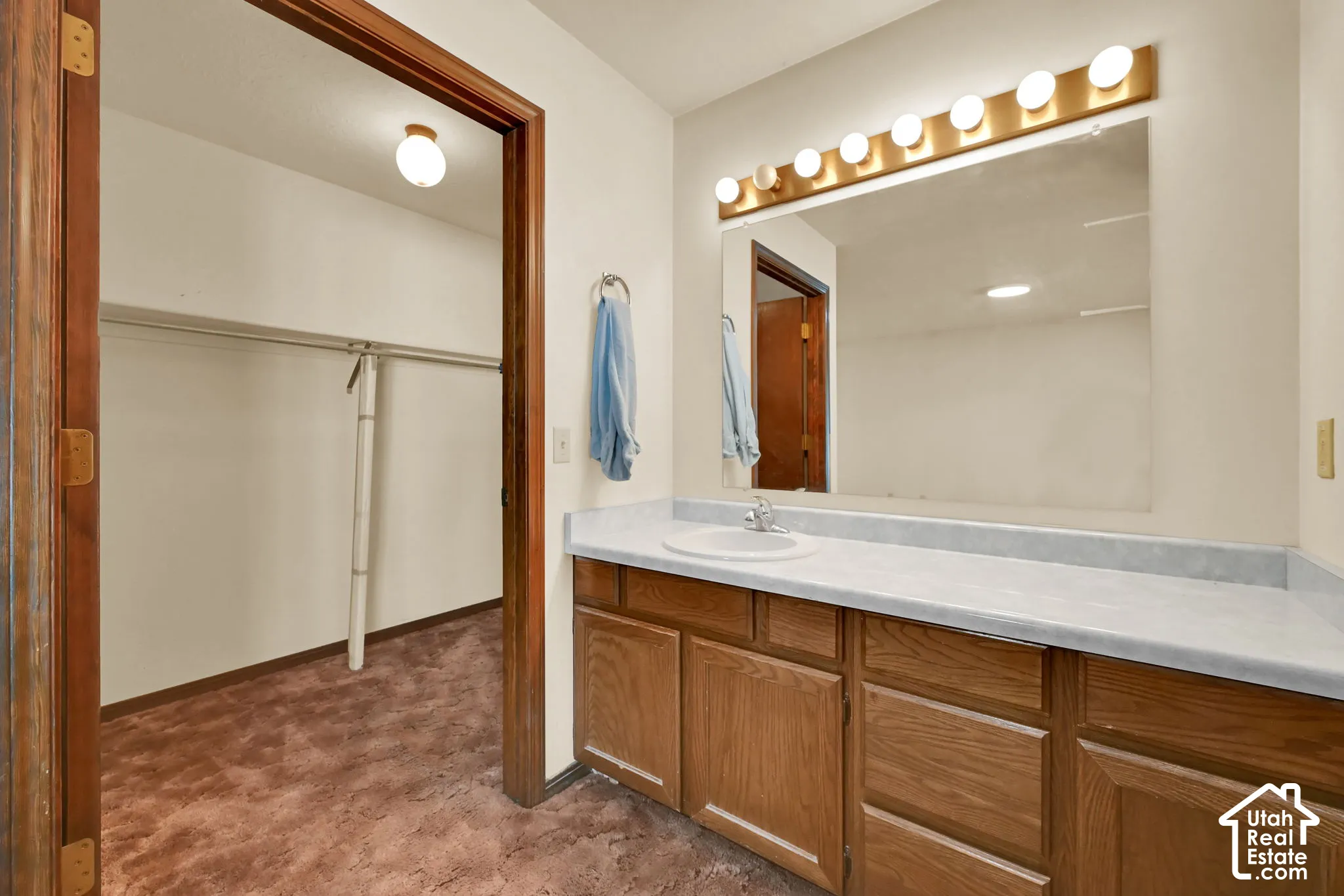 Vanity with integrated sink, wood-finish cabinetry, and a large wall-mounted mirror with overhead lighting