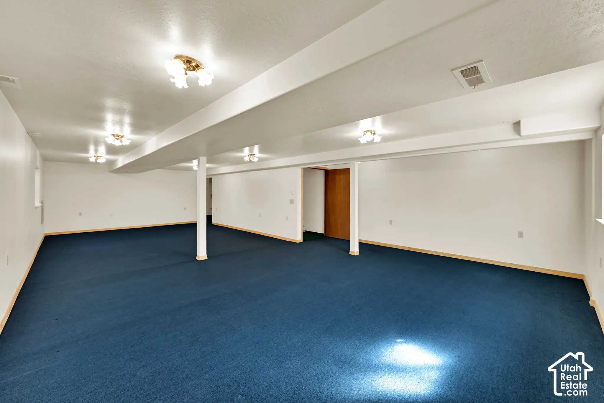 Expansive room featuring blue carpeting, white walls, and multiple ceiling-mounted light fixtures