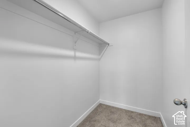Built-in closet shelving with a hanging rod, painted white walls, and neutral carpet flooring