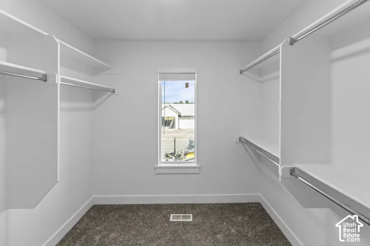 Walk-in closet featuring built-in shelving, chrome hanging rods, a window for natural light, and carpet flooring