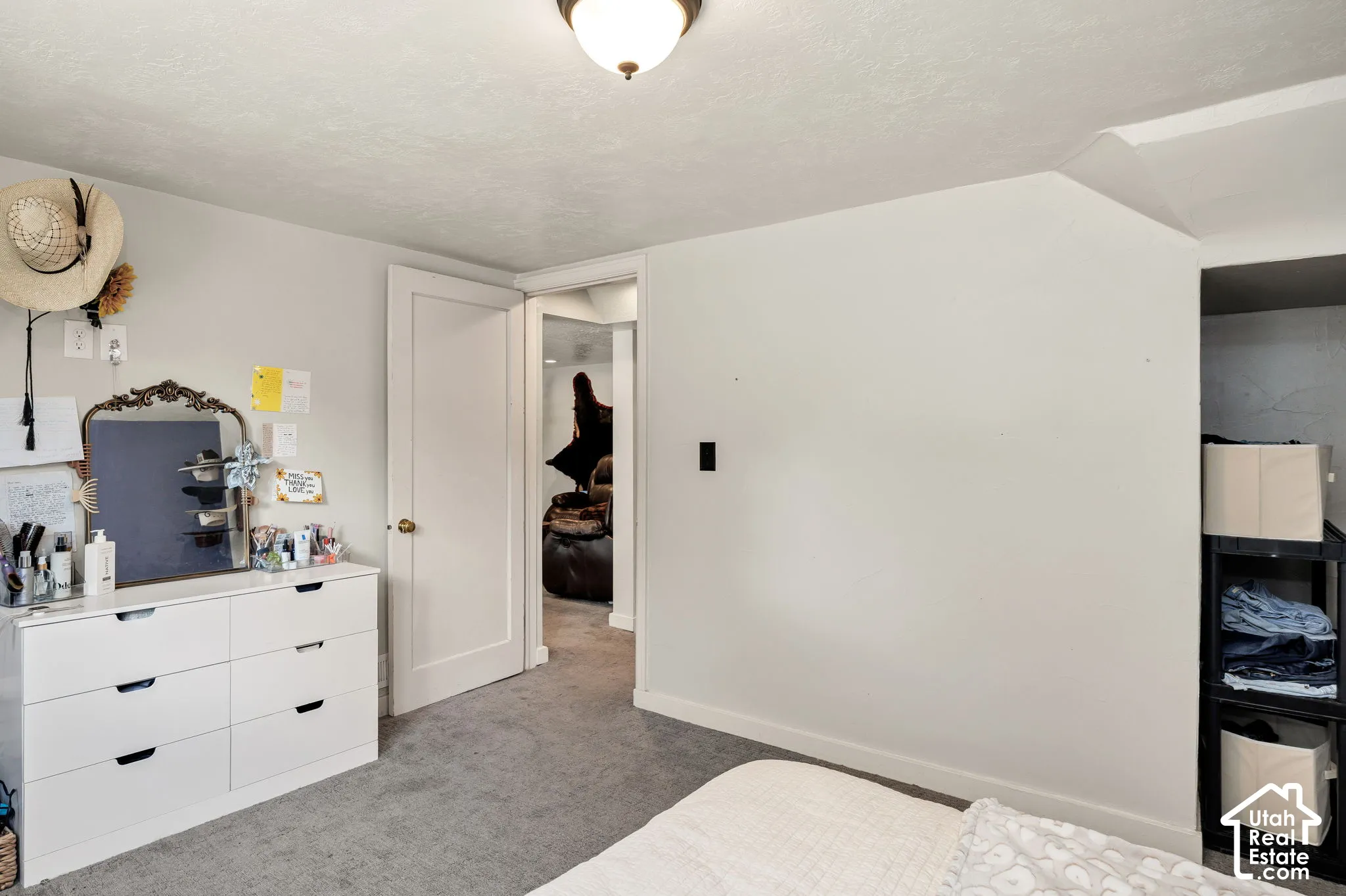 Downstairs bedroom, carpeted flooring, closet and a flush mount light fixture