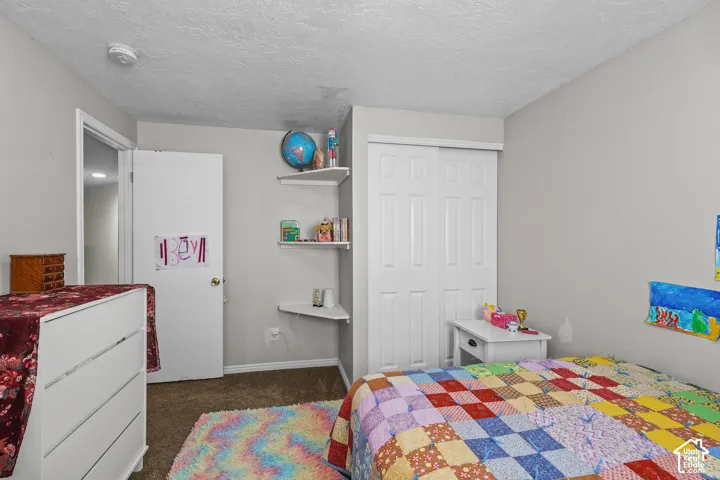 Neutral wall paint, carpet flooring, permanent wall shelving, and a two-panel sliding closet door