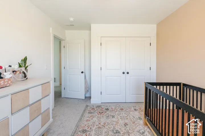 Neutral wall finishes, white trim, and carpeted flooring