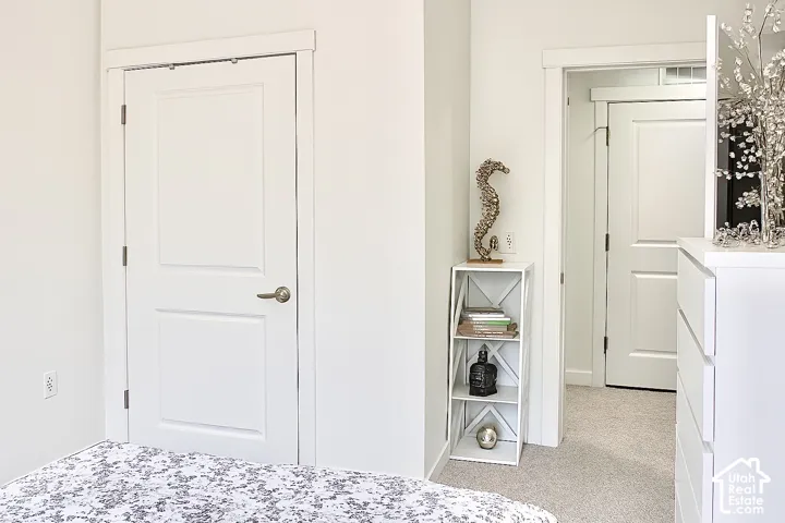 White paneled interior doors with brushed nickel hardware and coordinated white trim