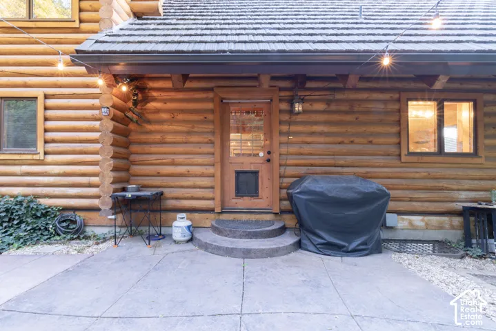 Log-style exterior construction with a wood-paneled door, concrete patio, and a shingled roof