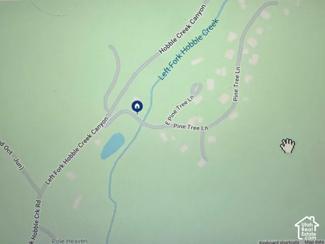 Zillow.com Map View. Displaying the geographic location of the property within Springville, UT