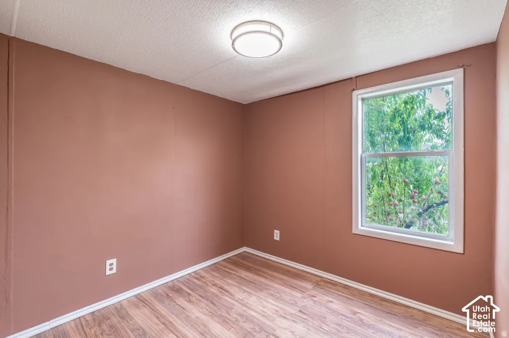 Wood-finish flooring, white trim, single window, flush-mount ceiling light
