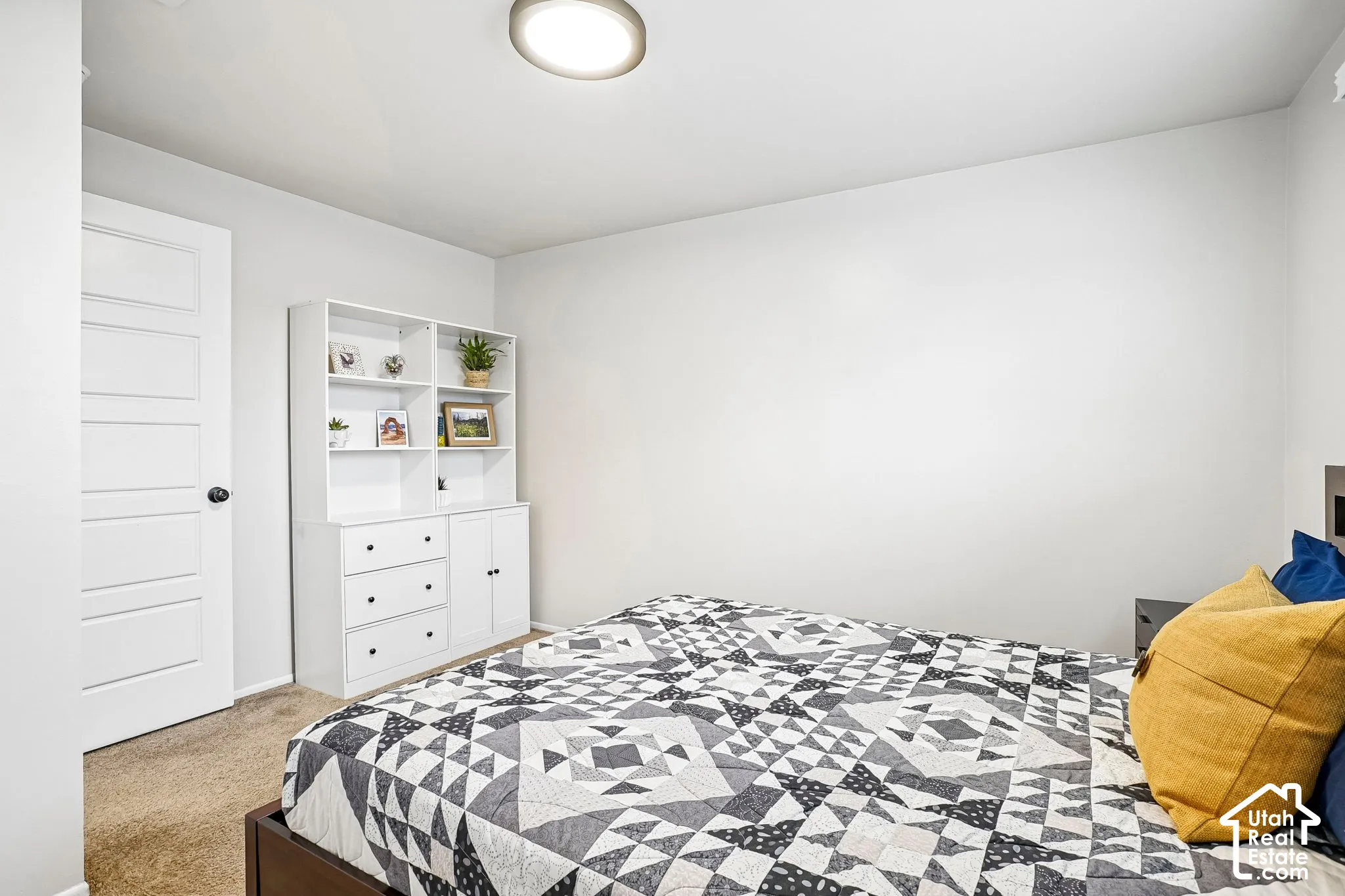 Neutral wall paint, plush carpeting, built-in shelving and drawer unit, ceiling-mounted light fixture, and modern paneled door
