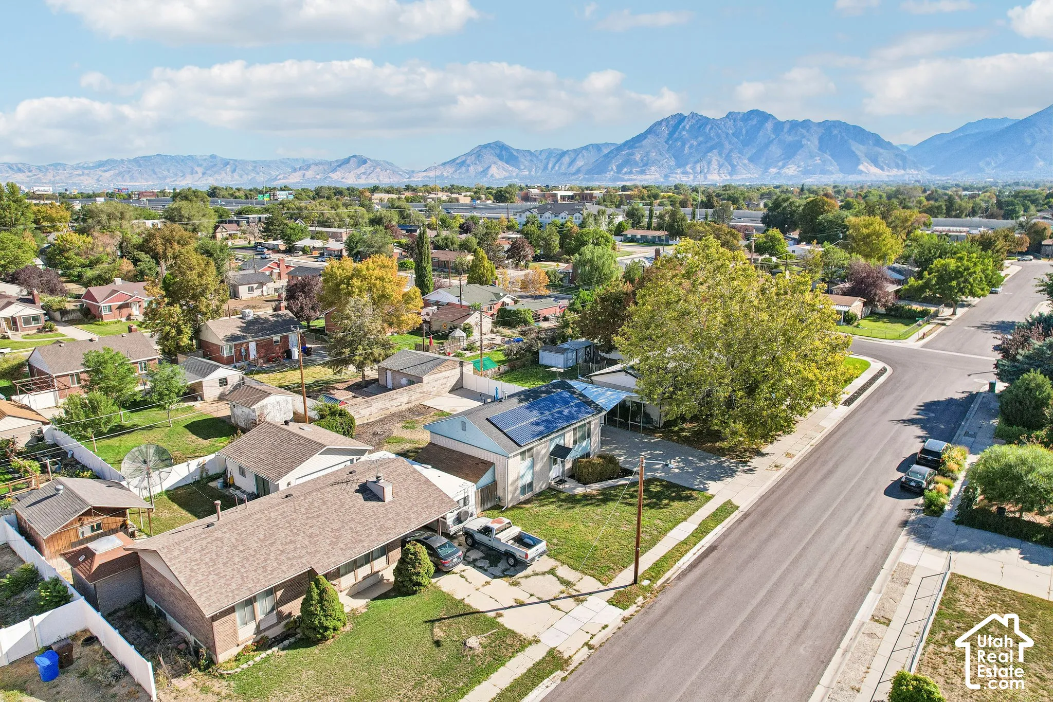 Residential neighborhood setting with mature trees and a paved street