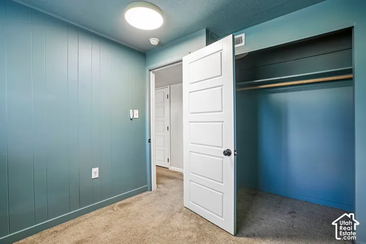 Paneling accent wall, recessed closet, panel doors, wall-to-wall carpeting, and flush mount lighting