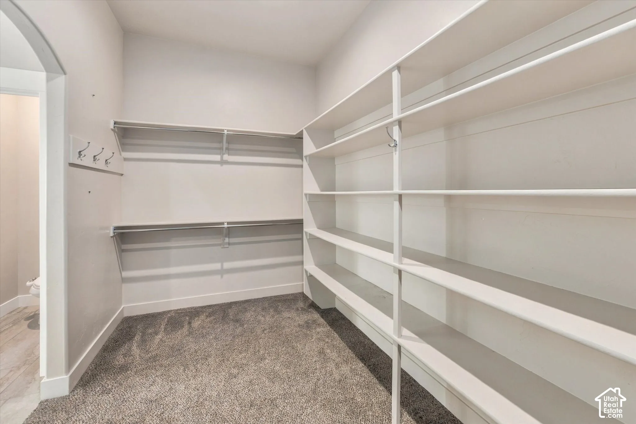 Master Walk-in closet with extensive built-in shelving, multiple hanging rods, and carpet flooring