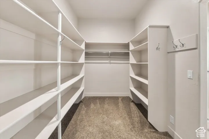 There are 2 LARGE closets like this one.  Linen/Storage