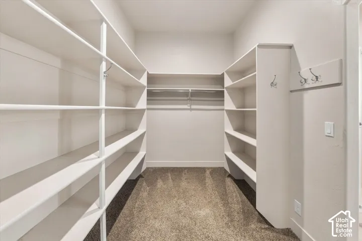 There are 2 LARGE closets like this one.  Linen/Storage