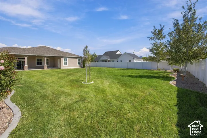 Expansive and beautiful backyard.