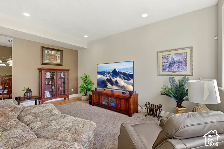 Lower level family room