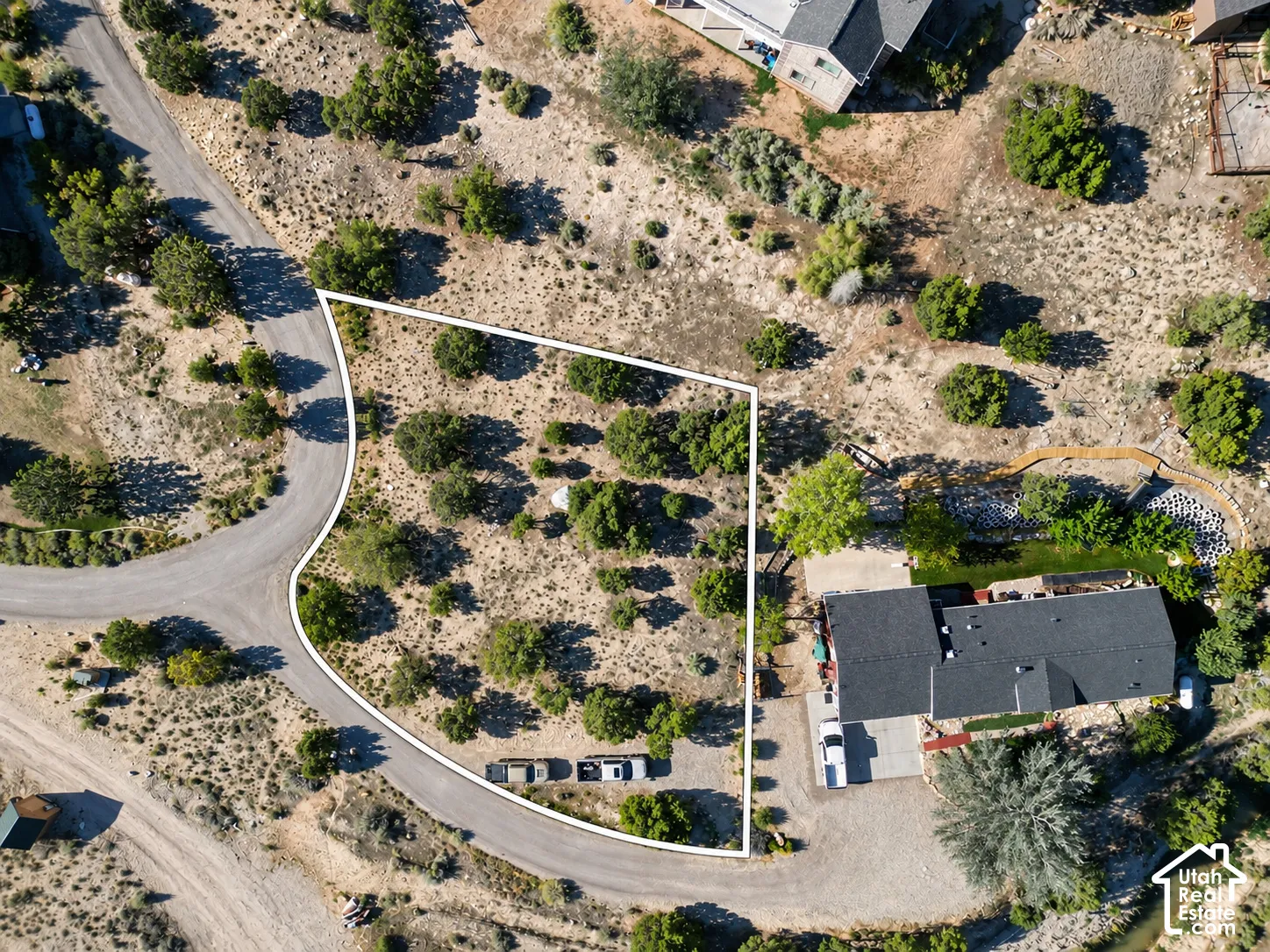 Expansive parcel featuring natural vegetation and a paved road