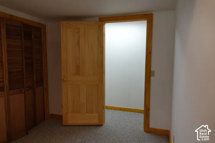 Natural wood-paneled door with matching trim