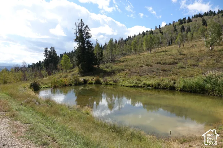 Pond located in Pine Meadow Ranch