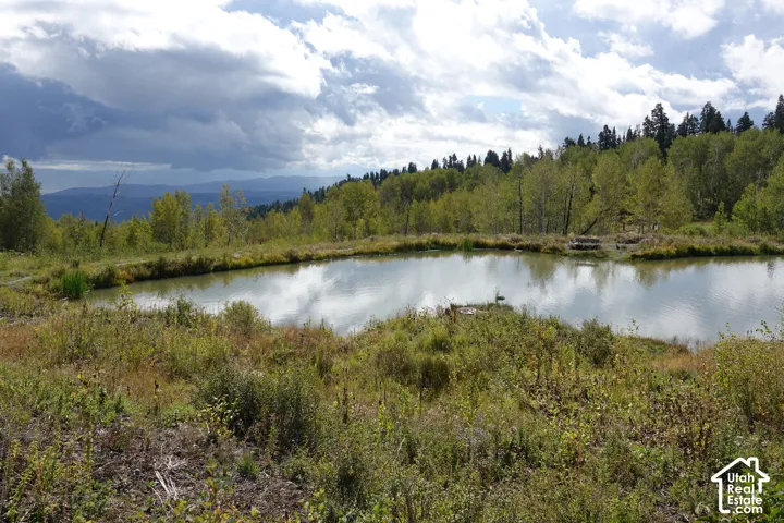 Pond located in Pine Meadow Ranch