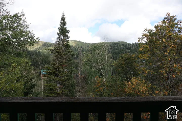Mountainous backdrop with dense tree coverage view from the balcony