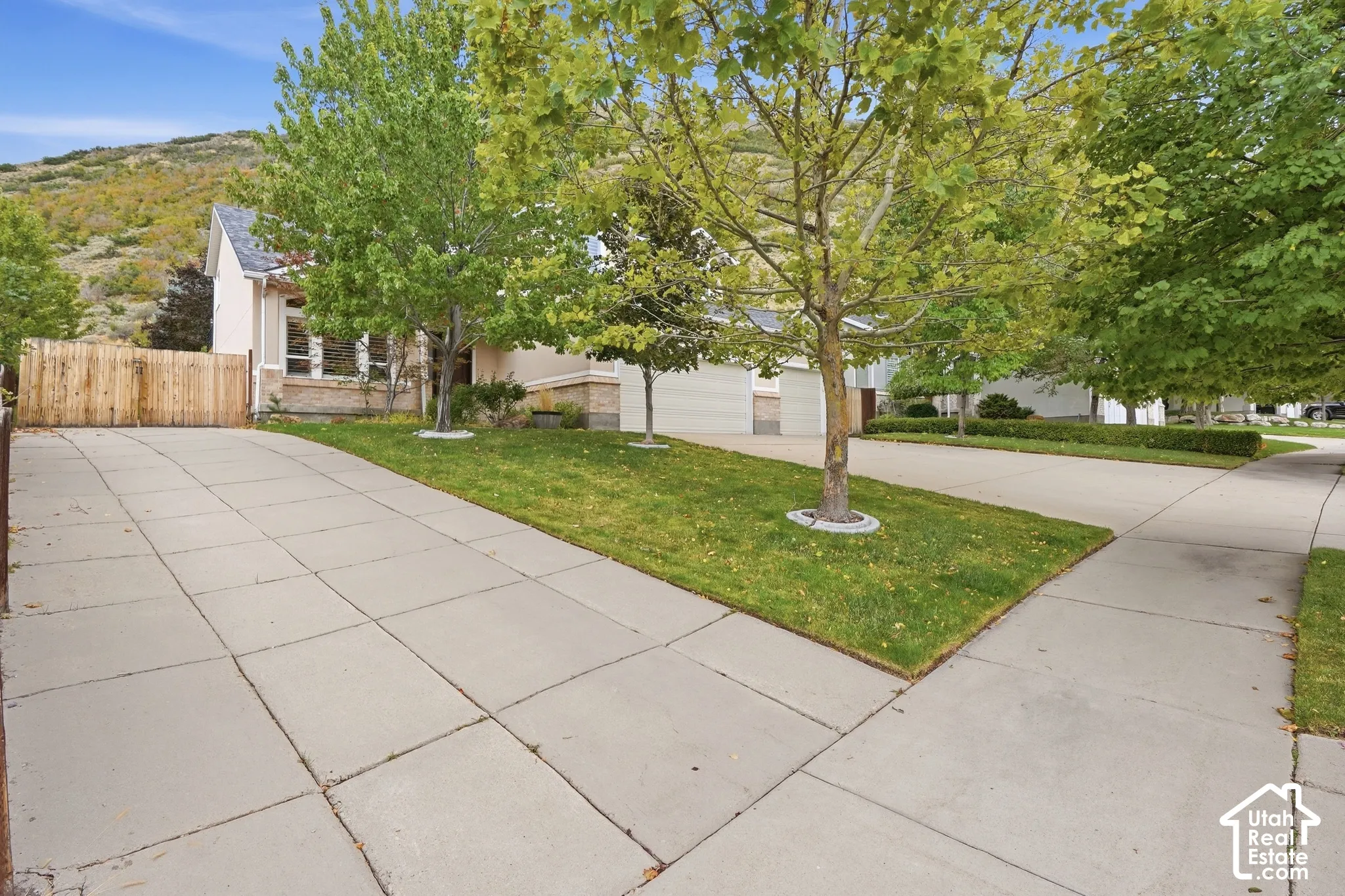 Concrete driveway and sidewalk with a grass verge and mature trees