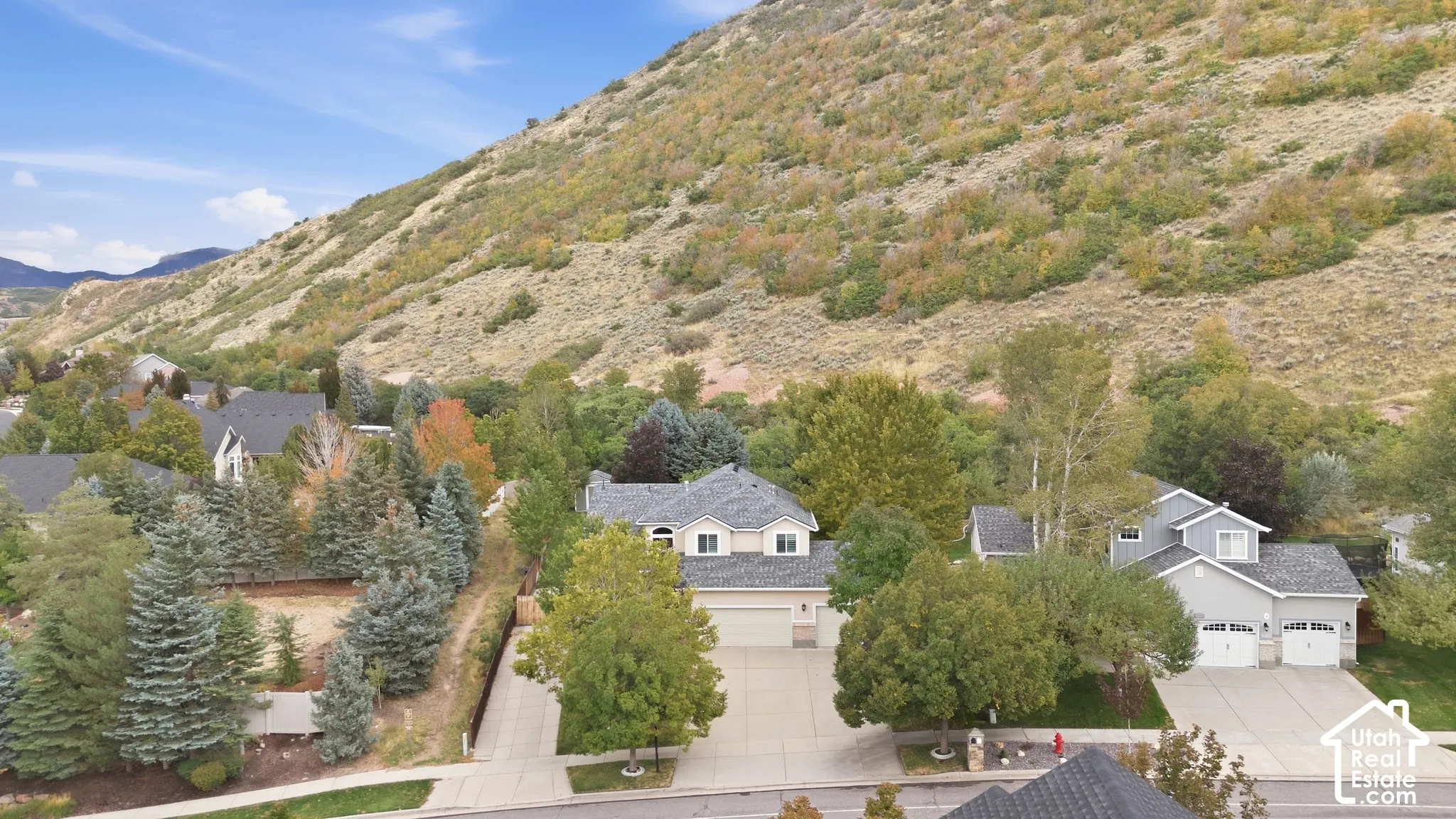 Mountainous backdrop with residential properties and mature trees
